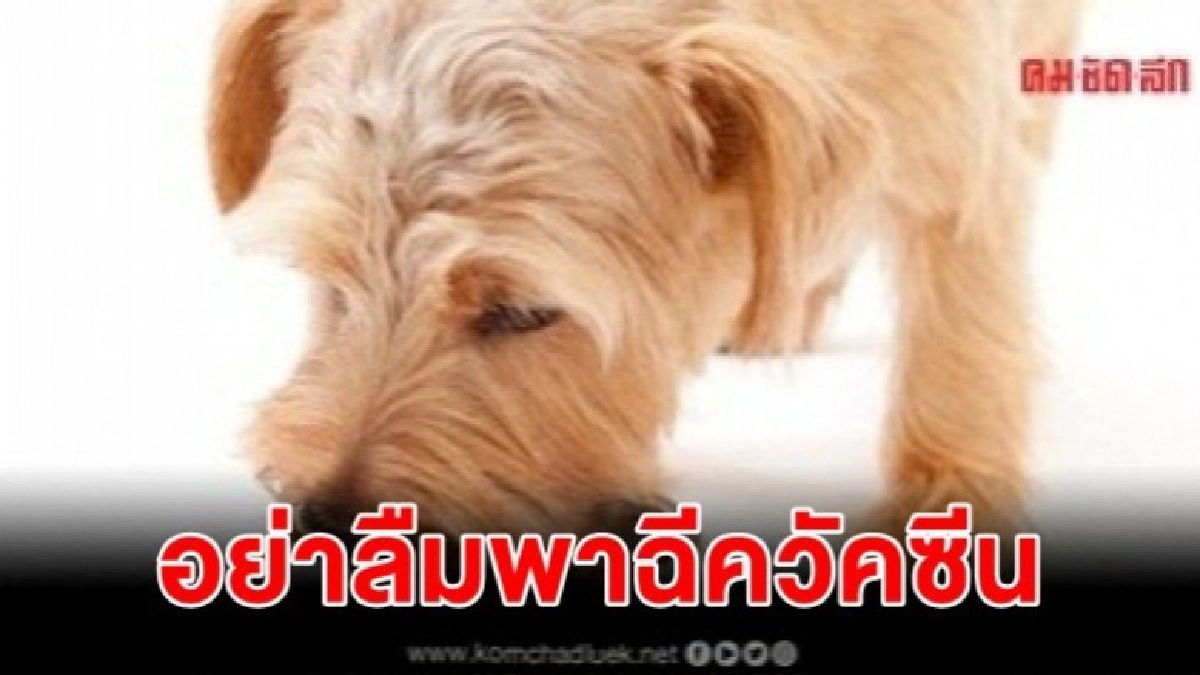หน้าร้อนระบาดเยอะอีกโรคอันตรายไม่น้อย