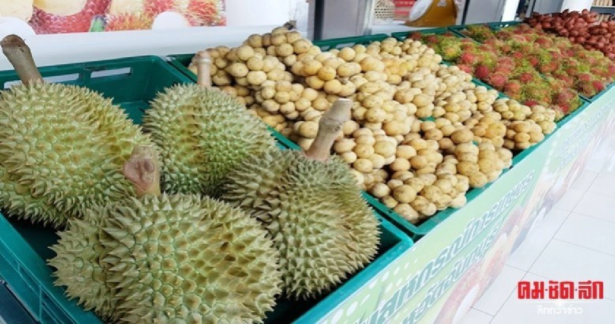 "ติวเข้ม"เกษตรกรสู่ผู้ค้าออนไลน์มืออาชีพ