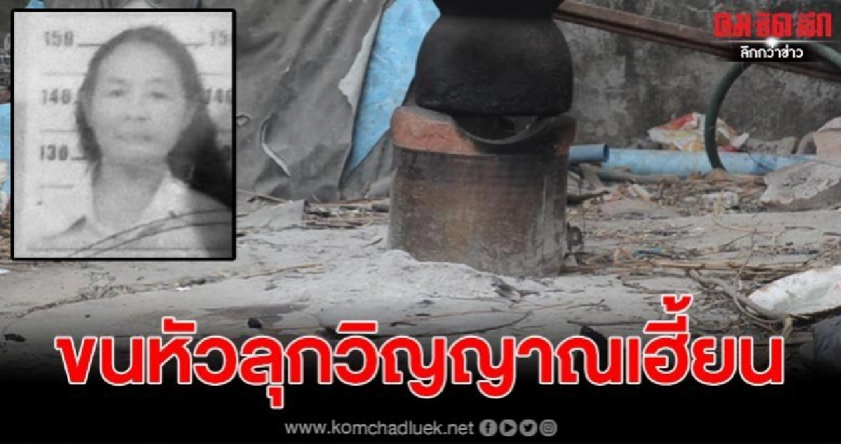 สาวใหญ่ถูกสามีดับลมหายใจกลับมาบ้านให้อาหารแมวดำ 3 ตัว สาวใหญ่ถูกสามีดับลมหายใจกลับมาบ้านให้อาหารแมวดำ 3 ตัว