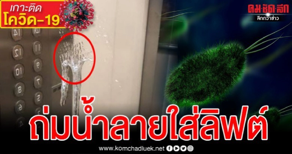สาวผวาหนัก เจอคนถ่มน้ำลายใส่กระจกลิฟต์ เริ่มเจ็บคอมีไข้ สาวผวาหนัก เจอคนถ่มน้ำลายใส่กระจกลิฟต์ เริ่มเจ็บคอมีไข้