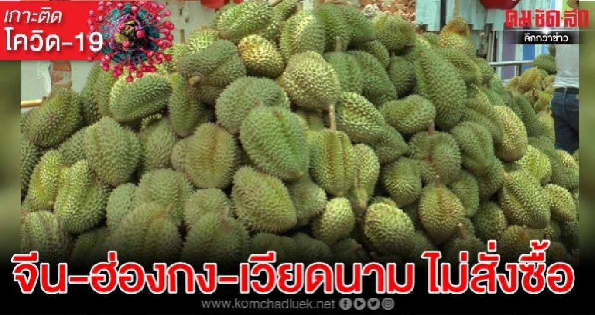 โควิด-19ลามถ้วนหน้าเกษตรดิ้นหาตลาดรองรับผลไม้หลังจีนงดนำเข้า