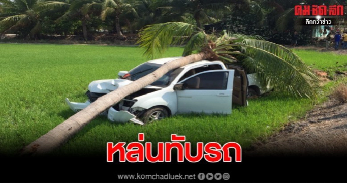 หนุ่งซิ่งรถกระบะเสียหลักชนต้นมะพร้าวขาดครึ่งล้มทับหลังคารถ หนุ่งซิ่งรถกระบะเสียหลักชนต้นมะพร้าวขาดครึ่งล้มทับหลังคารถ