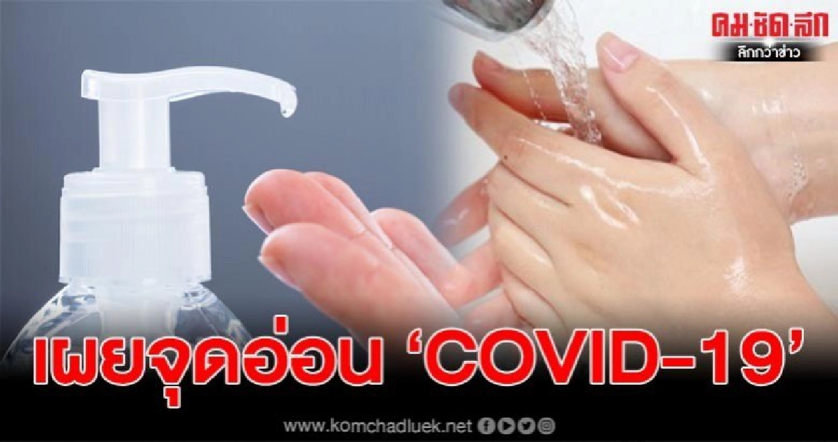 เผย 7 จุดอ่อน ที่ไวรัส COVID-19 กลัว เผย 7 จุดอ่อน ที่ไวรัส COVID-19 กลัว