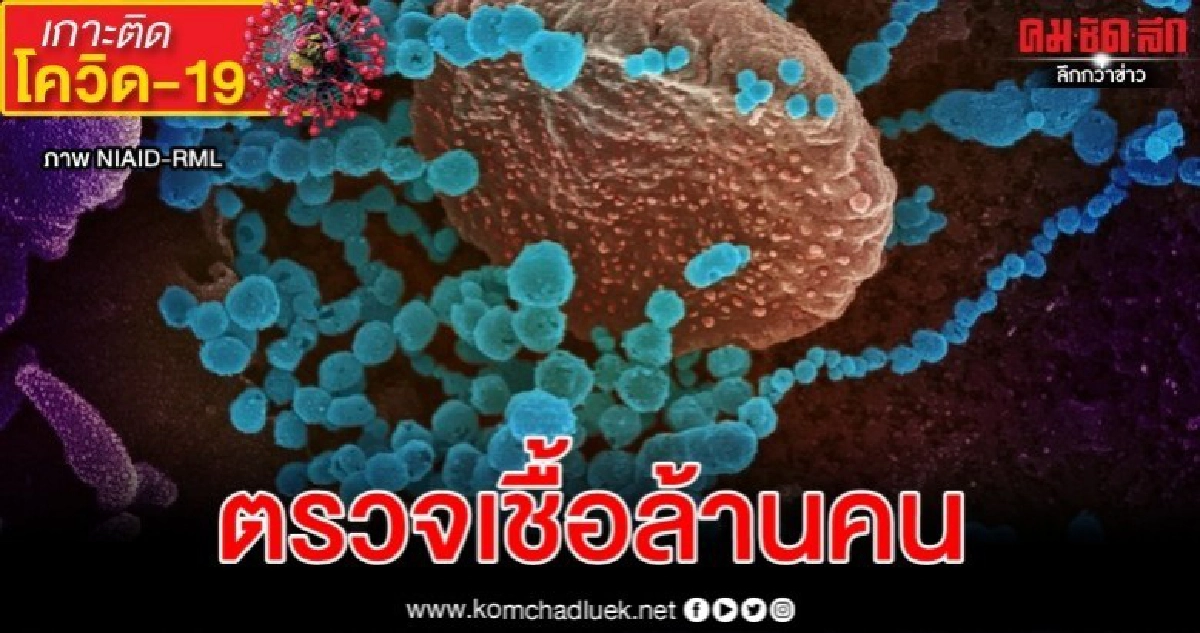 สหรัฐเตรียมตรวจมะกันนับล้านเสี่ยงโควิด19 ผู้คนแห่ซื้อตุนของ สหรัฐเตรียมตรวจมะกันนับล้านเสี่ยงโควิด19 ผู้คนแห่ซื้อตุนของ