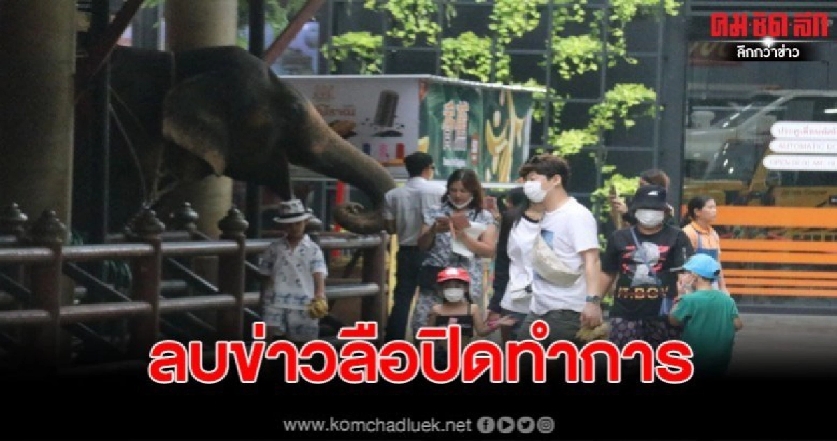 สวนนงนุชพัทยาลบข่าวลือปิดทำการ เปิดท่องเที่ยวทุกวันปลอดภัยเป็นสถานที่เปิด