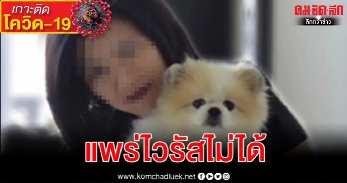 ทางการฮ่องกงย้ำหมา-แมว แพร่ไวรัสไม่ได้ แม้อาจถูกตรวจพบ ทางการฮ่องกงย้ำหมา-แมว แพร่ไวรัสไม่ได้ แม้อาจถูกตรวจพบ