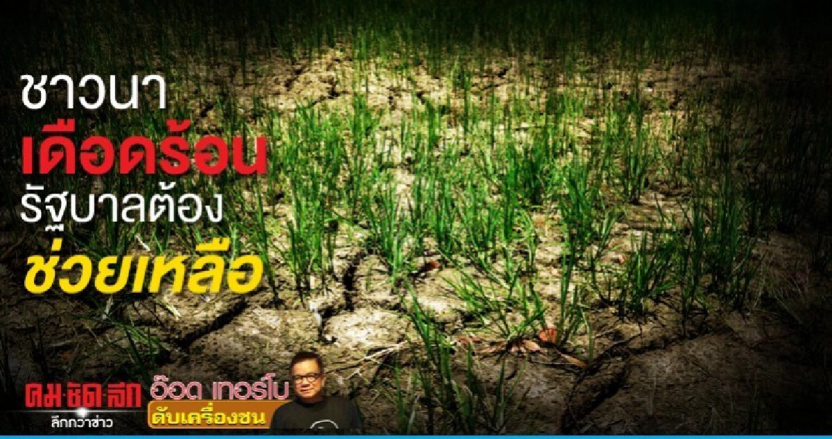 ชาวนาเดือดร้อนรัฐบาลต้องช่วยเหลือ