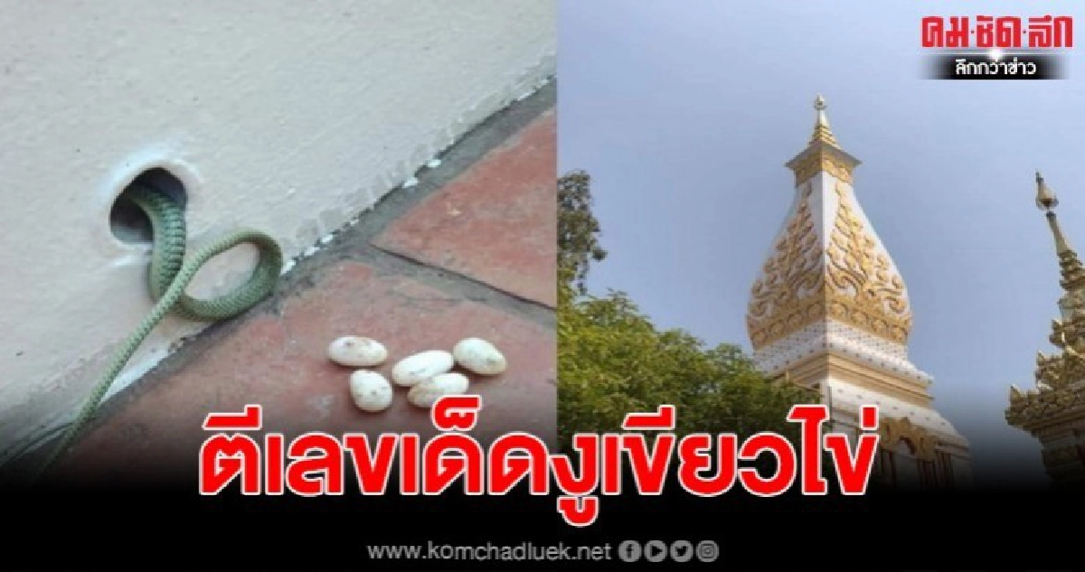 เซียนหวยแห่ตีเลข งูเขียววางไข่ ในลานพระธาตุพนม