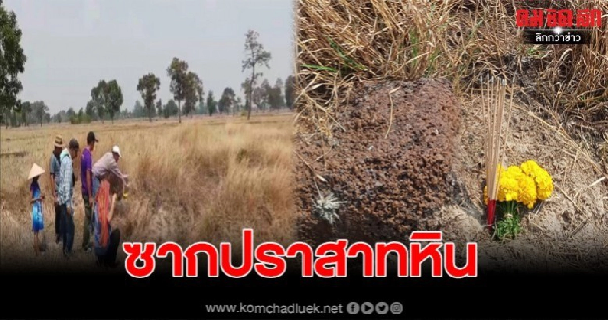 พบซากปราสาทหินอายุราวนับพันปี อยู่กลางทุ่งนา พบซากปราสาทหินอายุราวนับพันปี อยู่กลางทุ่งนา