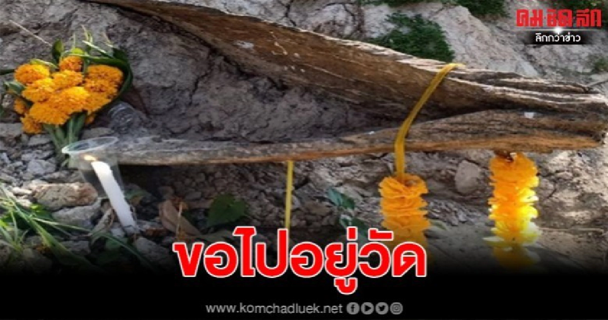 พบหัวเรือไม้ตะเคียนโผล่ริมคลอง พบหัวเรือไม้ตะเคียนโผล่ริมคลอง