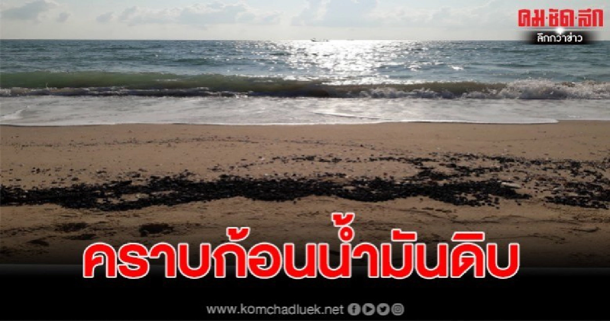 พบซากโลมาและเต่าตนุลอยเกยชายหาดขนอม-สิชลเมืองคอน พบซากโลมาและเต่าตนุลอยเกยชายหาดขนอม-สิชลเมืองคอน