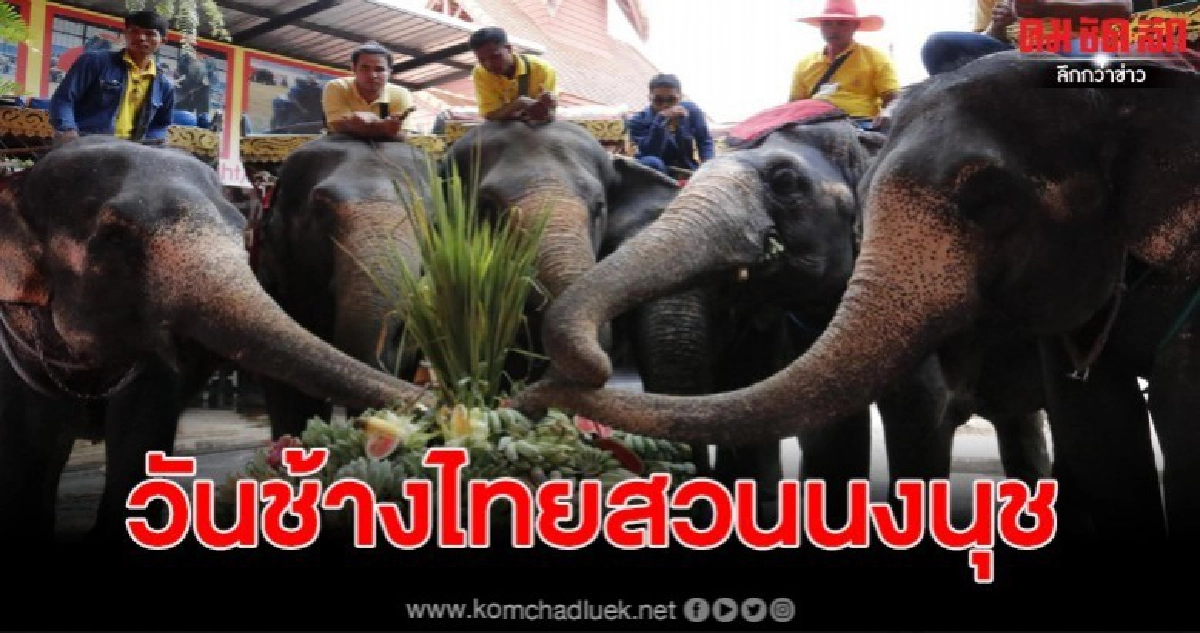 สวนนงนุชพัทยาจัดเลี้ยงโต๊ะจีนบุฟเฟ่ต์ผลไม้ วันช้างไทย