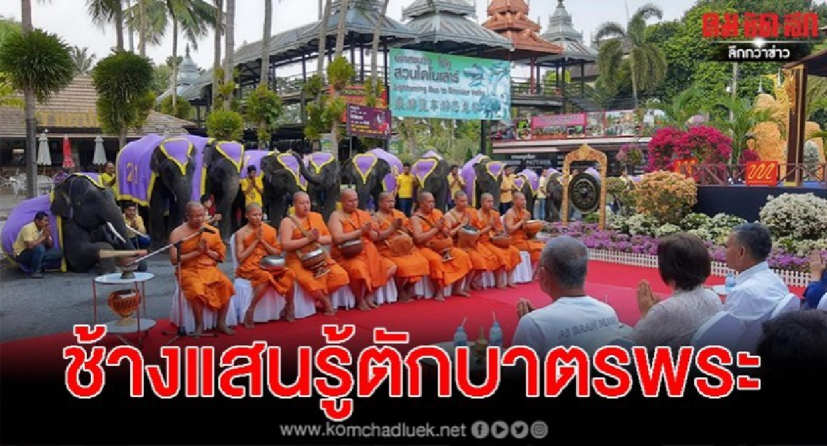 ช้าง 37 เชือกตักบาตรเสริมสิริมงคล วันช้างไทยที่สวนนงนุช