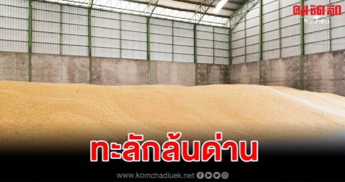 พิษอหิวาต์หมูข้าวโพดเลี้ยงสัตว์ทะลักด่านแม่สอด
