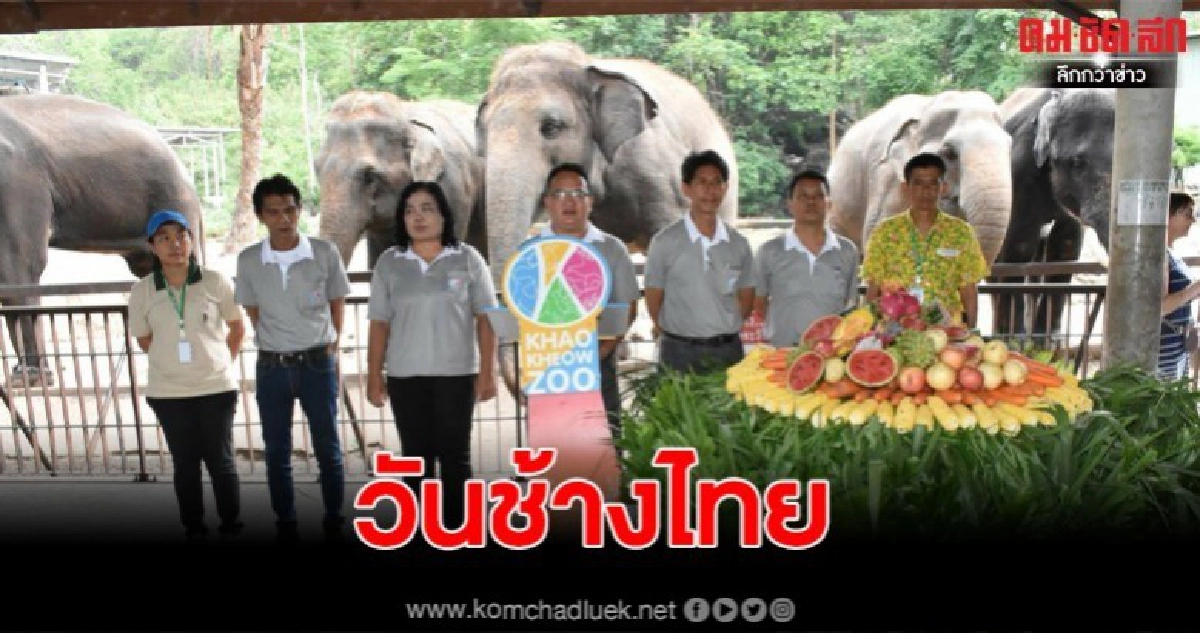 สวนสัตว์เปิดเขาเขียว ฉลองวันช้างไทยมอบเค้กผลไม้ให้ช้างแสนรู้ สวนสัตว์เปิดเขาเขียว ฉลองวันช้างไทยมอบเค้กผลไม้ให้ช้างแสนรู้