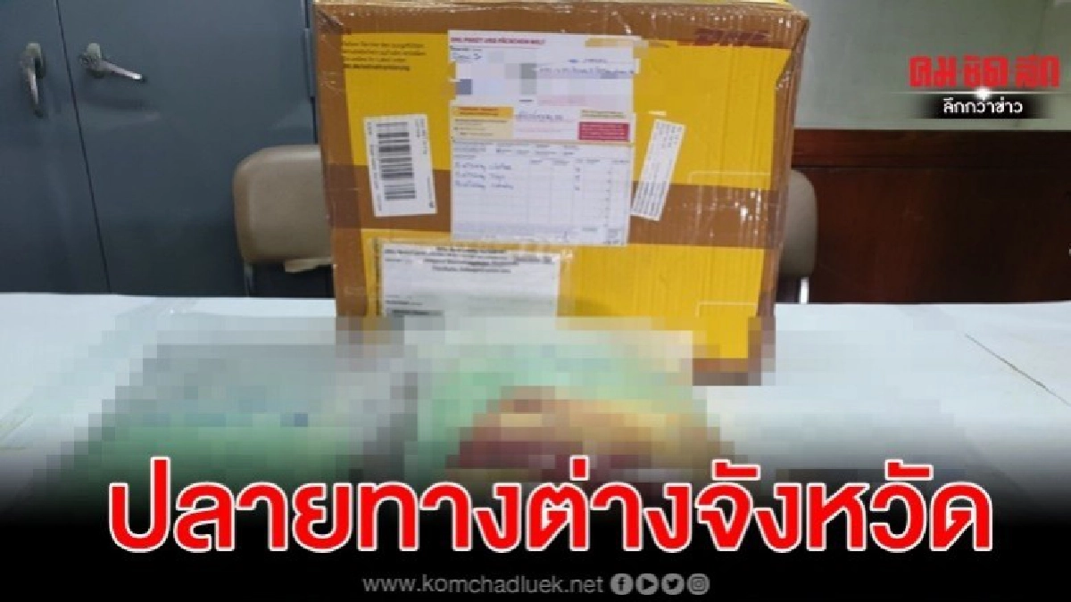 ยาอีจากยุโรปส่งเข้าไทยต่อเนื่อง ยึดกว่า 1 แสนเม็ด