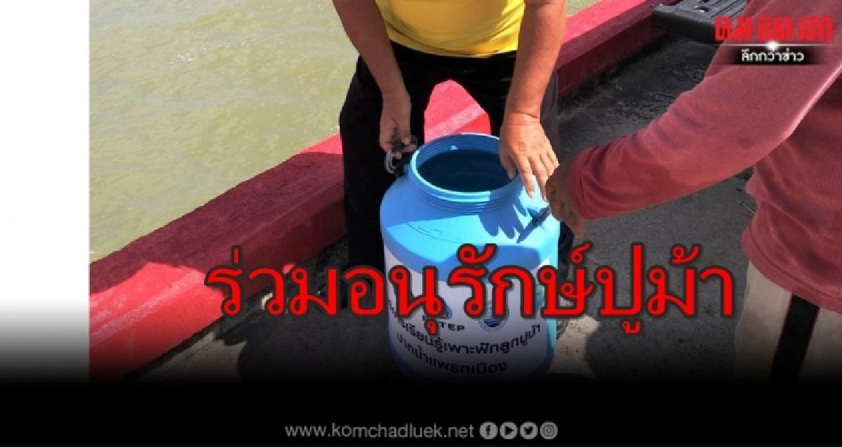 ปตท.สผ. ร่วมอนุรักษ์ปูม้าชายฝั่งปากน้ำแพรกเมือง ปตท.สผ. ร่วมอนุรักษ์ปูม้าชายฝั่งปากน้ำแพรกเมือง