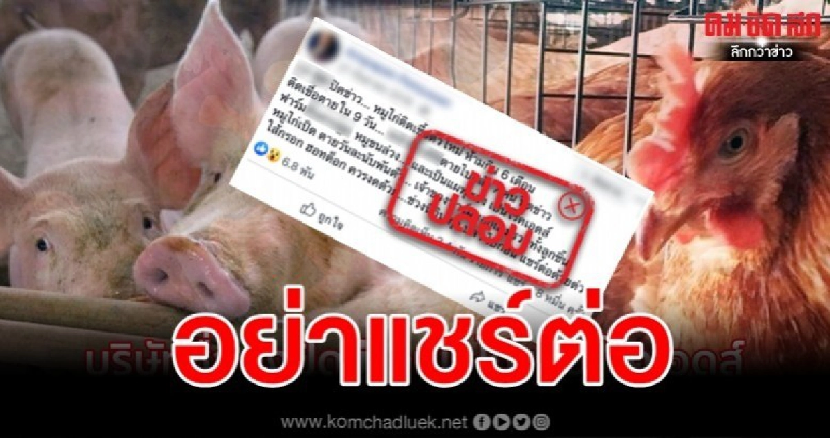 ข่าวปลอมอย่าแชร์ "บริษัทชื่อดังปิดข่าว หมู-ไก่ เป็นโรคเอดส์" ข่าวปลอมอย่าแชร์ "บริษัทชื่อดังปิดข่าว หมู-ไก่ เป็นโรคเอดส์"