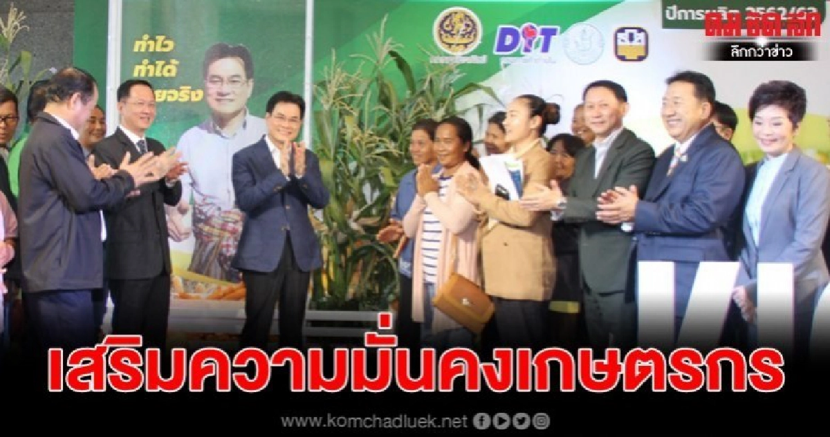 เสริมความมั่นคงเกษตรรัฐทุ่มประกันรายได้ข้าวโพดเลี้ยงสัตว์