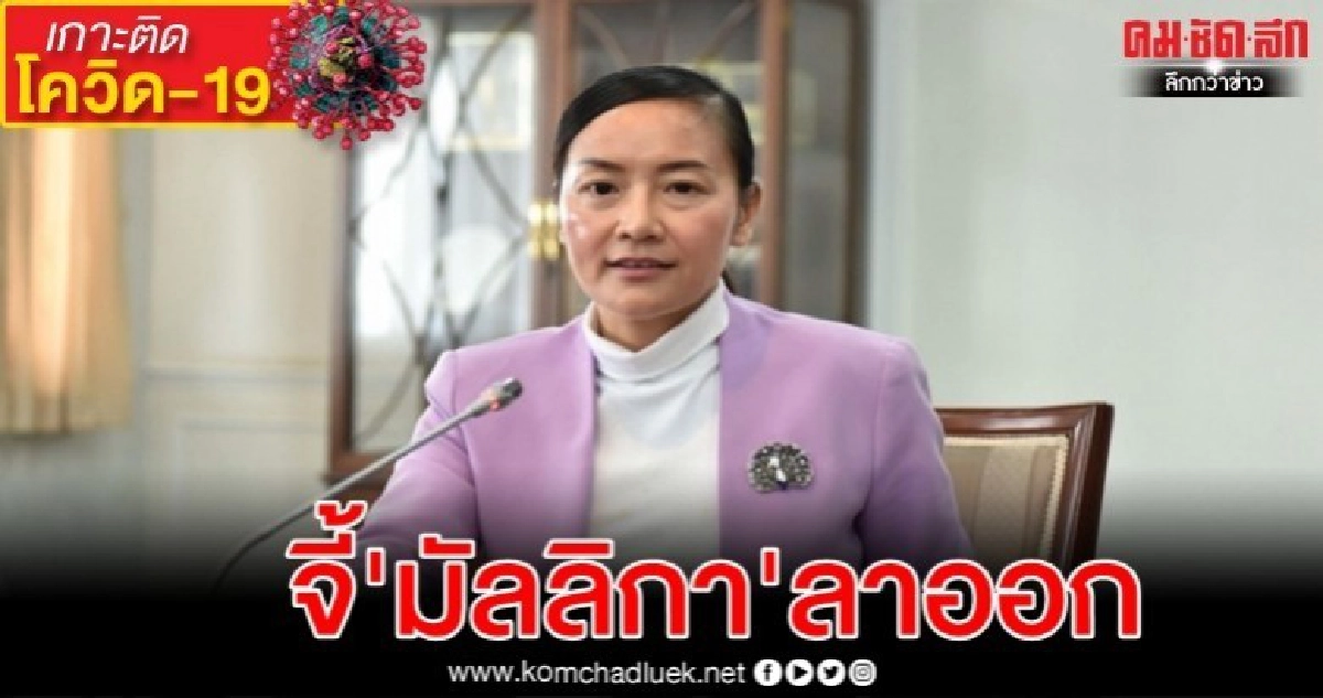 'เทพไท'จี้' มัลลิกา'ลาออกที่ปรึกษา รมว.พาณิชย์ปมกักตุนแมสก์