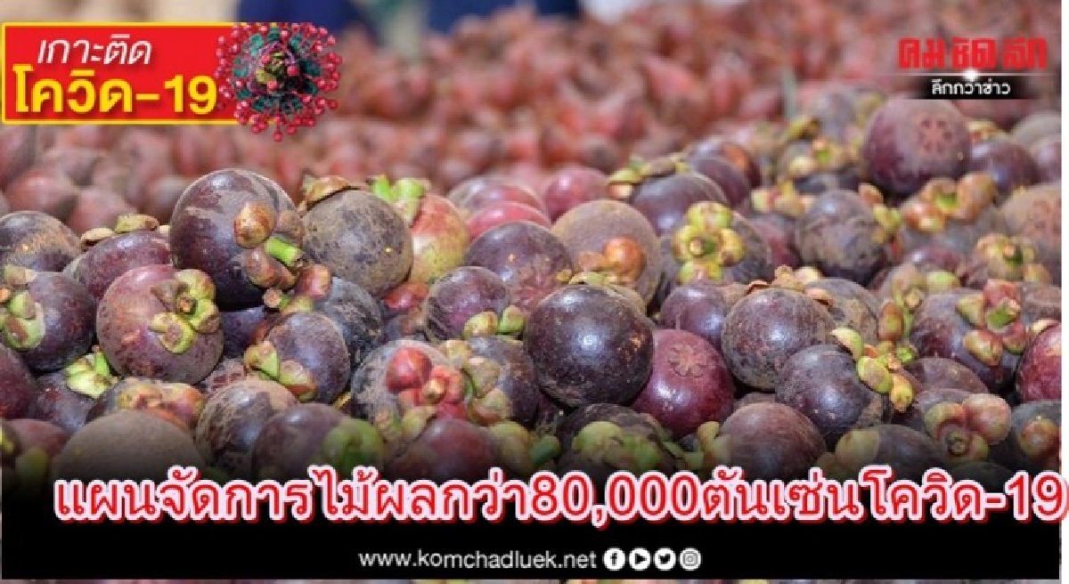 เกษตรฯ กางแผนจัดการไม้ผลกว่า 80,000 ตัน เซ่นพิษโควิด-19