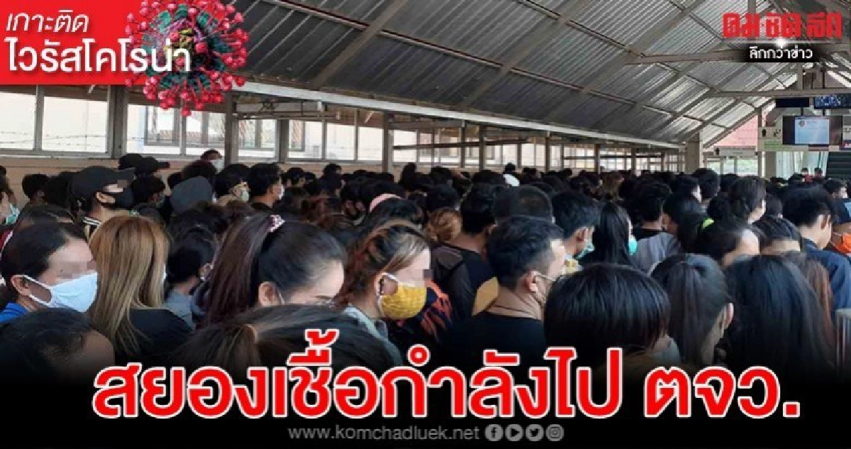 พญาเสือ สยองเชื้อกำลังไป ตจว. พญาเสือ สยองเชื้อกำลังไป ตจว.