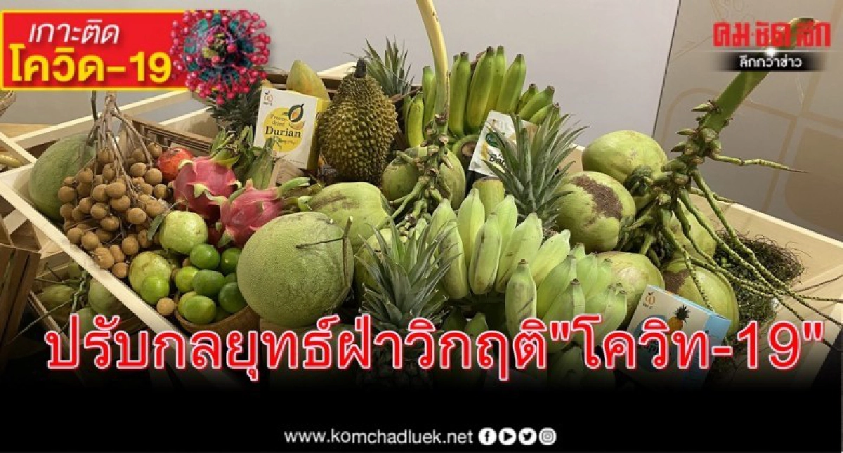  เปิดมาตรการผลไม้ไทยรุกตลาดโลก ปรับกลยุทธ์ฝ่าวิกฤติ"โควิท-19