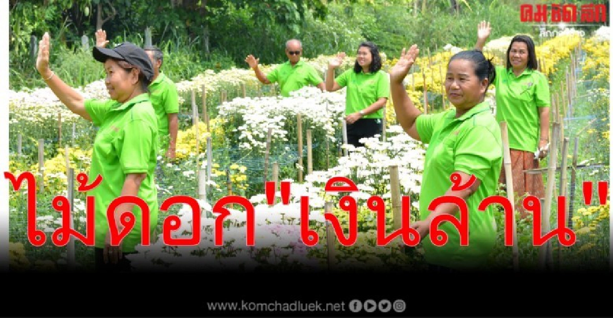 พลิกที่นาสู่ไม้ดอก"เงินล้าน"