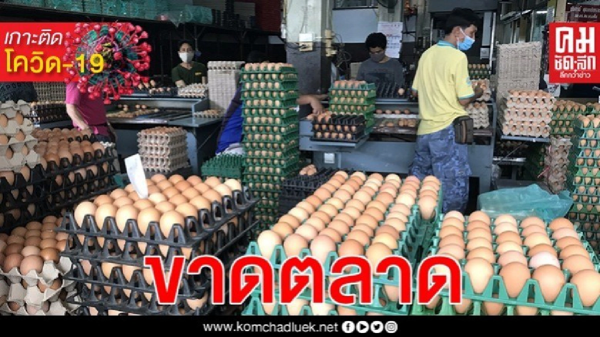 แห่ตุนไข่หลังประกาศ พ.ร.ก.ฉุกเฉิน แห่ตุนไข่หลังประกาศ พ.ร.ก.ฉุกเฉิน