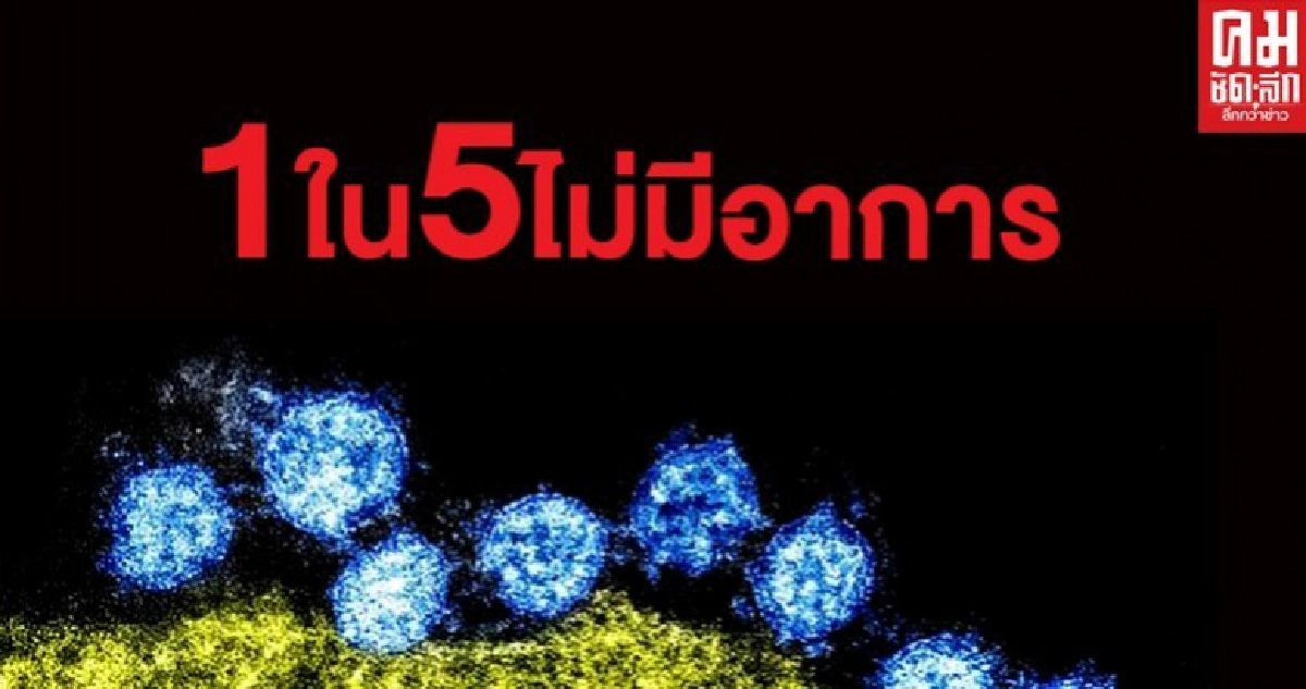 เปิดข้อมูลผู้ป่วยโควิด-19 พบ 1ใน5 ไม่มีอาการ เปิดข้อมูลผู้ป่วยโควิด-19 พบ 1ใน5 ไม่มีอาการ