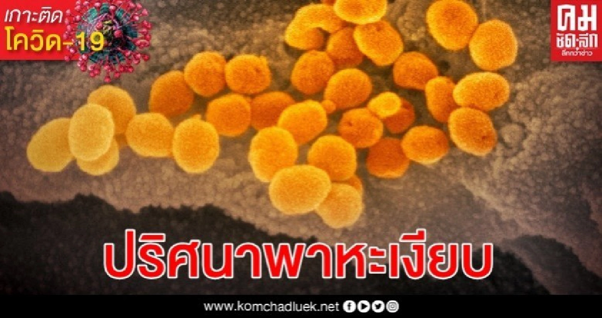 จีนพบพาหะเงียบเพิ่มขึ้น แต่ผู้เชี่ยวชาญเสียงแตกเสี่ยงแค่ไหน จีนพบพาหะเงียบเพิ่มขึ้น แต่ผู้เชี่ยวชาญเสียงแตกเสี่ยงแค่ไหน