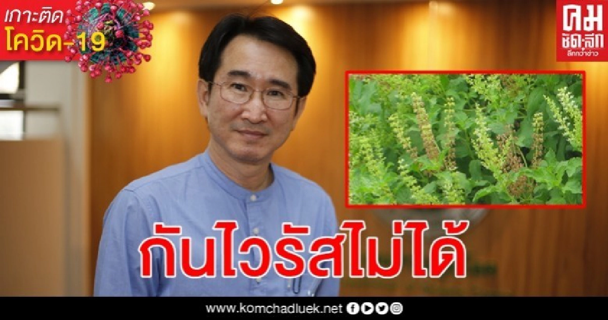 คร. แจงใส่รองเท้าเข้าบ้านไม่เป็นปัจจัยหลักติดเชื้อไวรัสโรคโควิด-19 คร. แจงใส่รองเท้าเข้าบ้านไม่เป็นปัจจัยหลักติดเชื้อไวรัสโรคโควิด-19