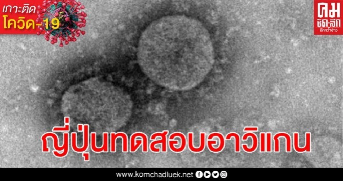 ฟูจิ เริ่มทดสอบยาไข้หวัดใหญ่ อาวิแกน รักษาผู้ป่วยโควิด-19 ฟูจิ เริ่มทดสอบยาไข้หวัดใหญ่ อาวิแกน รักษาผู้ป่วยโควิด-19