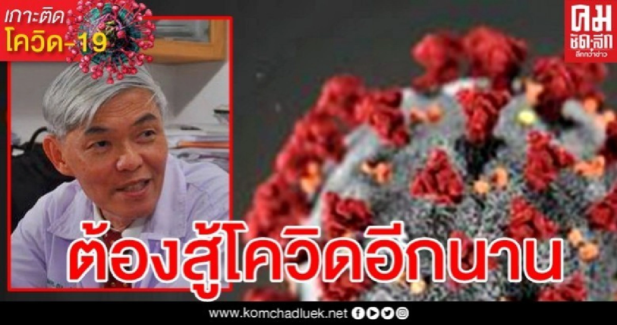 ข่าวดี "หมอยง" เผยนำพลาสมาผู้ป่วยโควิดที่หายแล้วมาใช้รักษา