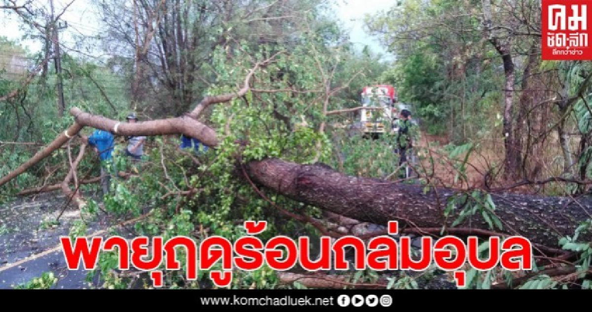 พายุกระหน่ำอุบลฯไฟฟ้าดับทั้งเมืองต้นไม้ล้มทับถนนหลายแห่ง