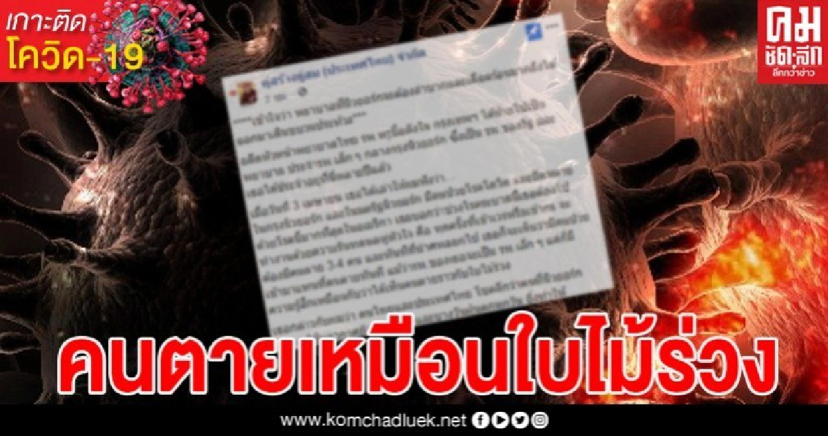 อดีตหัวหน้าพยาบาลไทย เล่าชีวิตสุดหดหู่ หลังทำงานในโรงพยาบาลที่อังกฤษ ทุกครั้งที่เข้าเวรต้องเห็นคนตายเหมือนใบไม้ร่วง อดีตหัวหน้าพยาบาลไทย เล่าชีวิตสุดหดหู่ หลังทำงานในโรงพยาบาลที่อังกฤษ ทุกครั้งที่เข้าเวรต้องเห็นคนตายเหมือนใบไม้ร่วง