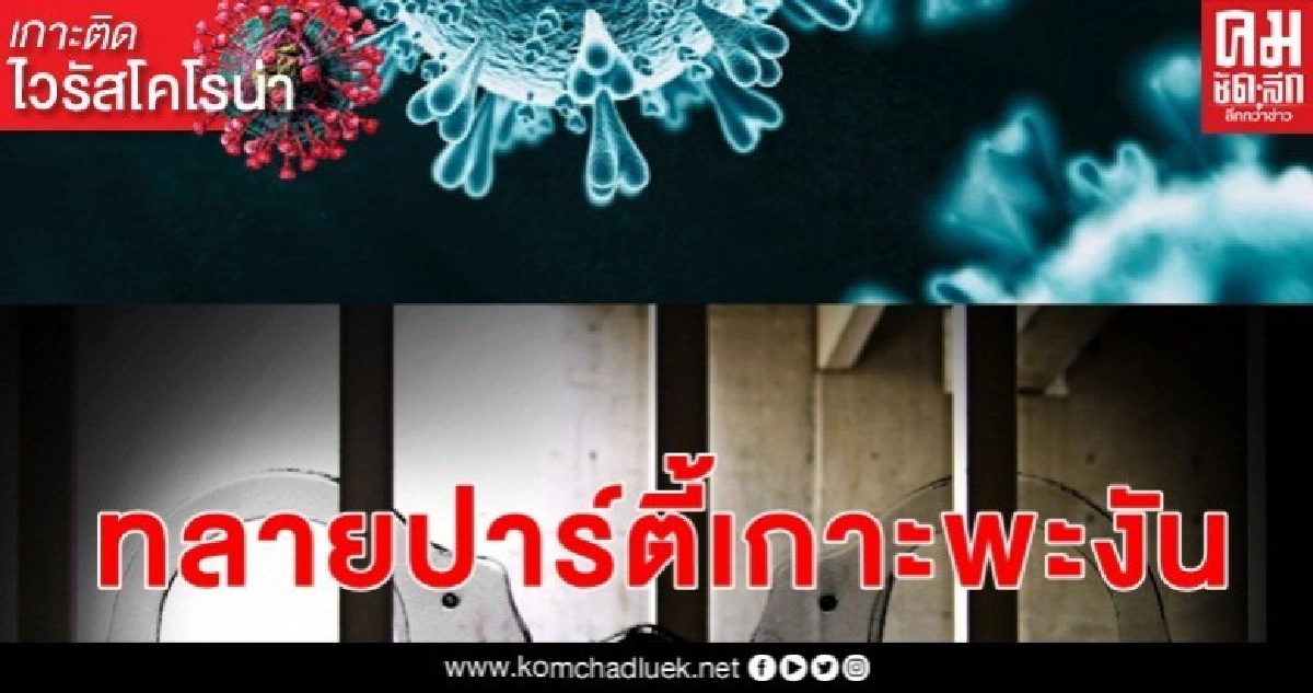 ตามรวบหนุ่มสงสัยติดโควิดหนีรพ.ป่าตอง ตามรวบหนุ่มสงสัยติดโควิดหนีรพ.ป่าตอง