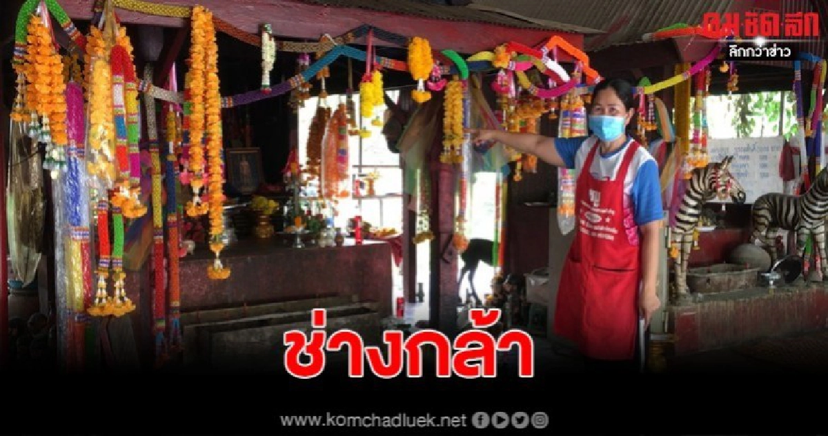 โจรใจบาป บุกเข้าไปขโมยเครื่องบูชาที่ศาลปู่หลุบได้ทรัพย์สินไปหลายรายการหนีลอยนวล