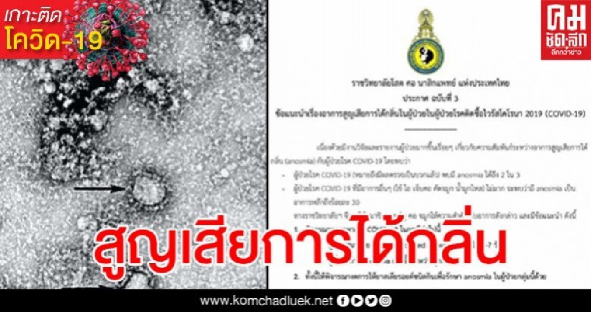 เผย อาการผู้ป่วยโควิด-19 ถึง 2 ใน 3 มีการสูญเสียการได้กลิ่น เผย อาการผู้ป่วยโควิด-19 ถึง 2 ใน 3 มีการสูญเสียการได้กลิ่น
