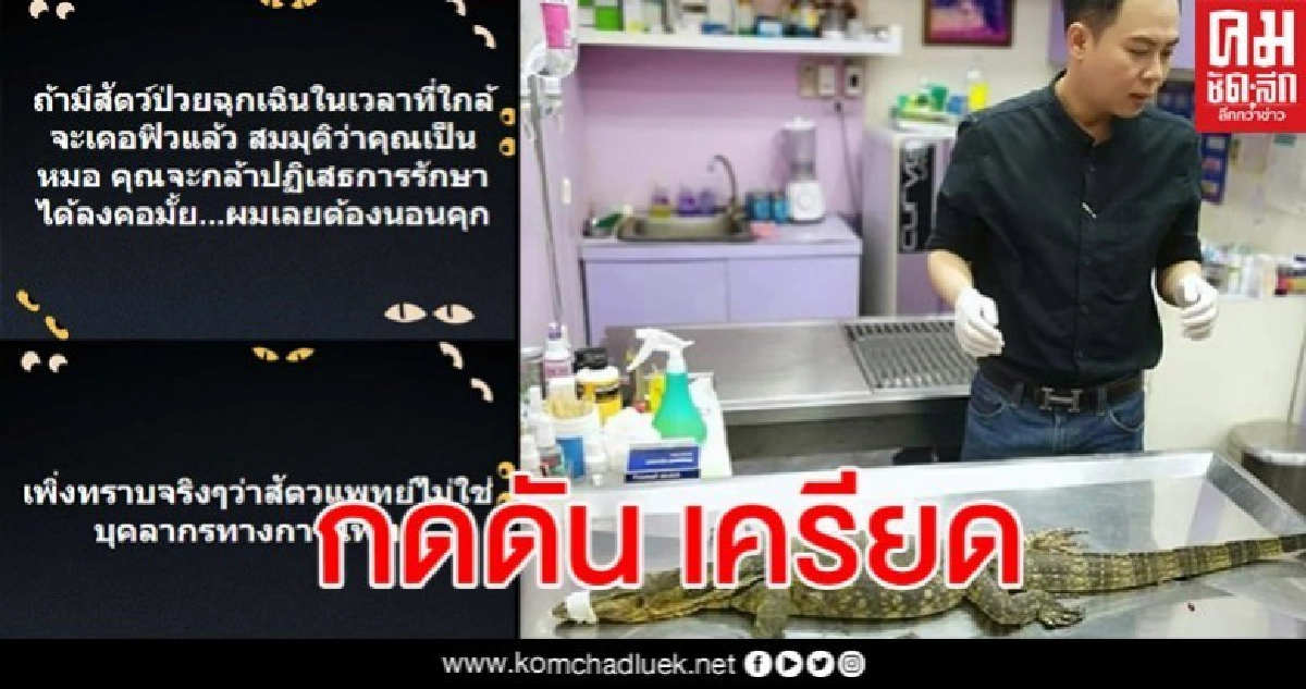 สัตวแพทย์ขอโทษปมดราม่า หลังถูกจับเคอร์ฟิวเพราะไปช่วยสัตว์เคสฉุกเฉิน สัตวแพทย์ขอโทษปมดราม่า หลังถูกจับเคอร์ฟิวเพราะไปช่วยสัตว์เคสฉุกเฉิน