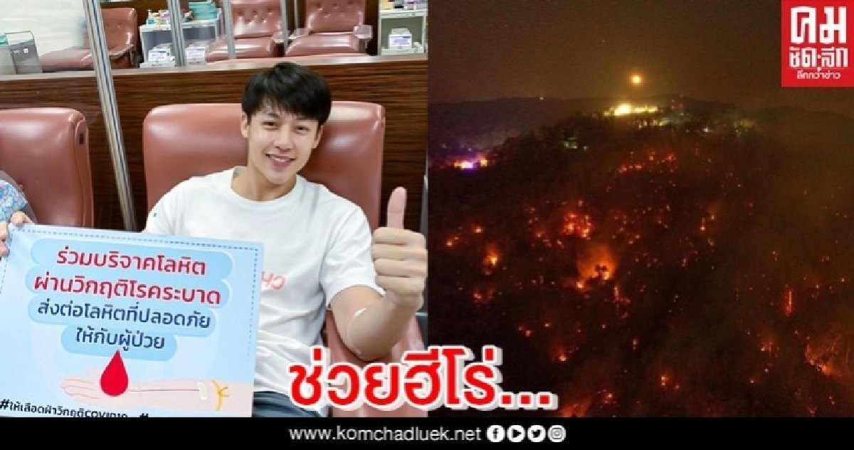 'หมาก' บริจาคโลหิตภาวะวิกฤตเลือดขาดแคลน 'หมาก' บริจาคโลหิตภาวะวิกฤตเลือดขาดแคลน