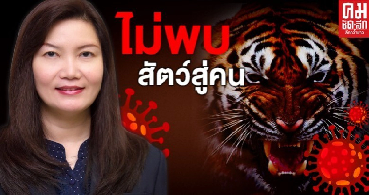 สัตวแพทย์ จุฬาฯชี้ยังไม่พบโควิด-19 ติดต่อจาก"สัตว์สู่คน"