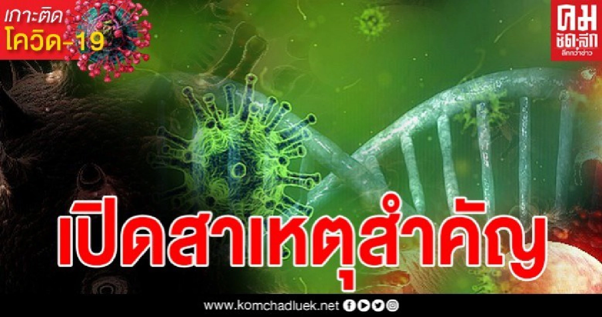 เปิดสาเหตุสำคัญ 2 ประการ ทำคนติดเชื้อโควิดในรอบ 2 สัปดาห์ เปิดสาเหตุสำคัญ 2 ประการ ทำคนติดเชื้อโควิดในรอบ 2 สัปดาห์