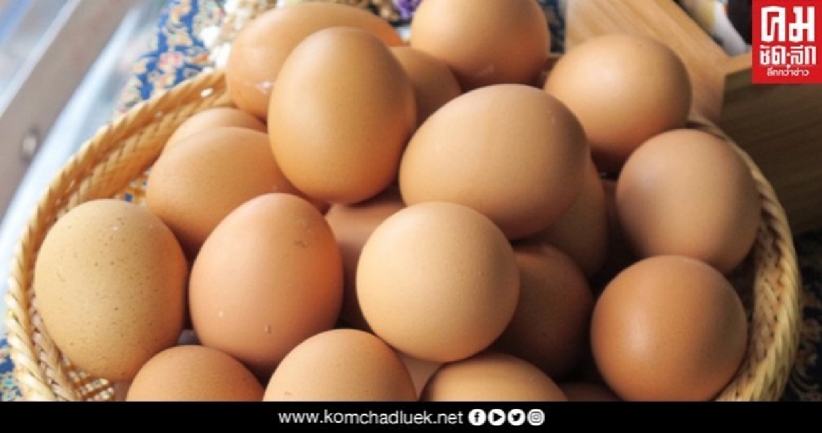 เตือนพ่อค้าอย่าขายไข่ไก่ราคาเว่อร์