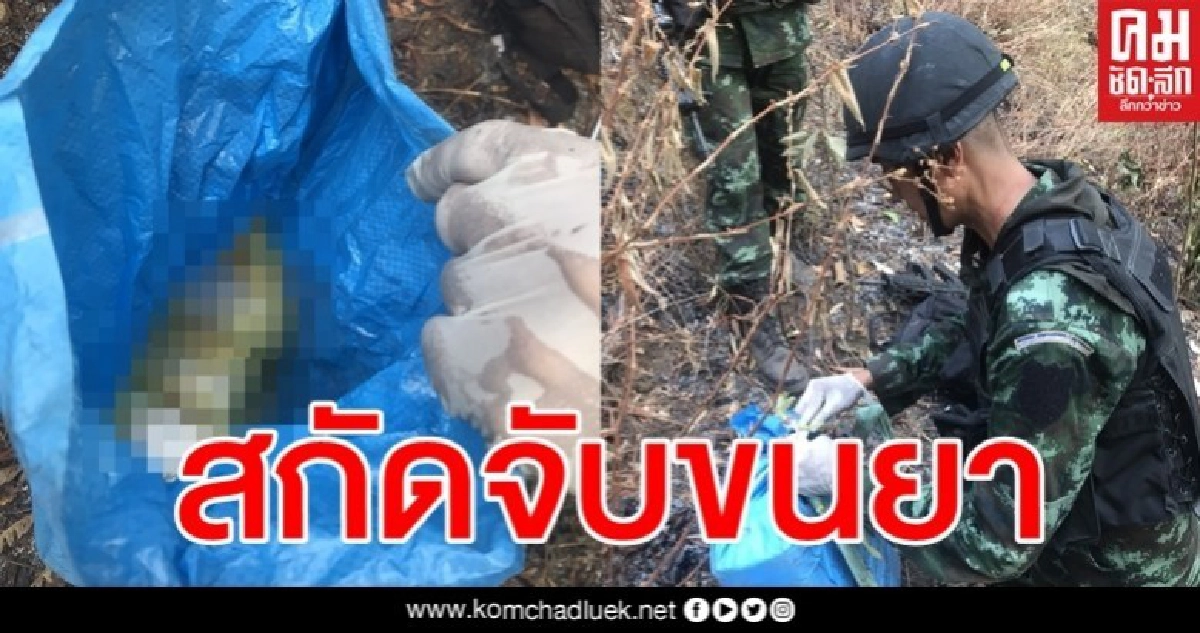 เสียงปืนสนั่นป่า ทหารปะทะเดือดขบวนลำเลียงยาเสพติด เสียงปืนสนั่นป่า ทหารปะทะเดือดขบวนลำเลียงยาเสพติด