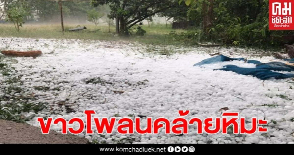 ขาวโพลน พายุลูกเห็บถล่ม นาวัง หนองบัวลำภู