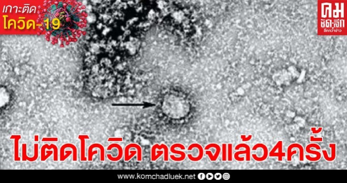 โต้ข่าวลือ ปัด"บิ๊กปั๊ด"รองผบ.ตร.ติดโควิด-19 โต้ข่าวลือ ปัด"บิ๊กปั๊ด"รองผบ.ตร.ติดโควิด-19