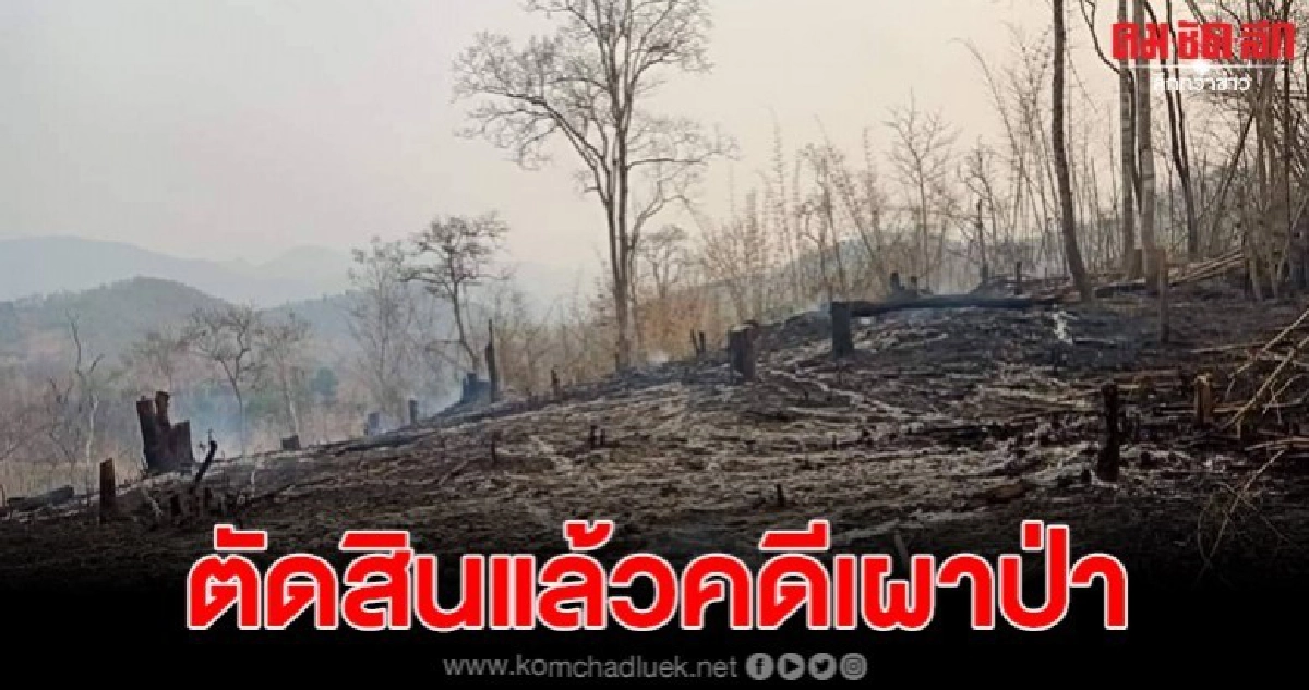 โทษเผาป่าเชียงดาว...ศาลจังหวัดเชียงใหม่พิพากษาลงโทษจำคุกและปรับ ไม่รอลงอาญา โทษเผาป่าเชียงดาว...ศาลจังหวัดเชียงใหม่พิพากษาลงโทษจำคุกและปรับ ไม่รอลงอาญา