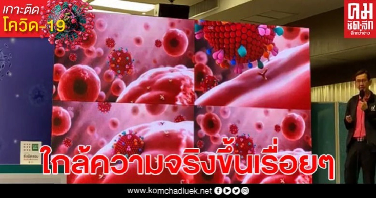 ใกล้เป็นจริง! สธ.เผย นักวิจัยไทย ทดลองวัคซีนต้านโควิด-19 ในสัตว์แล้ว ใกล้เป็นจริง! สธ.เผย นักวิจัยไทย ทดลองวัคซีนต้านโควิด-19 ในสัตว์แล้ว