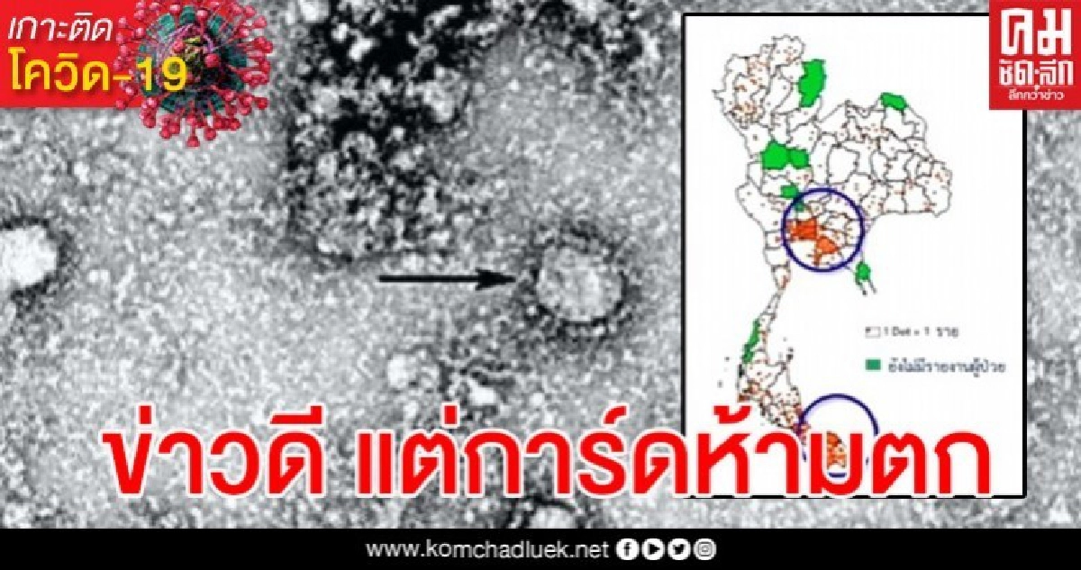 เปิด 35 จังหวัดปราศจากผู้ติดเชื้อโควิด-19 เพิ่ม เปิด 35 จังหวัดปราศจากผู้ติดเชื้อโควิด-19 เพิ่ม
